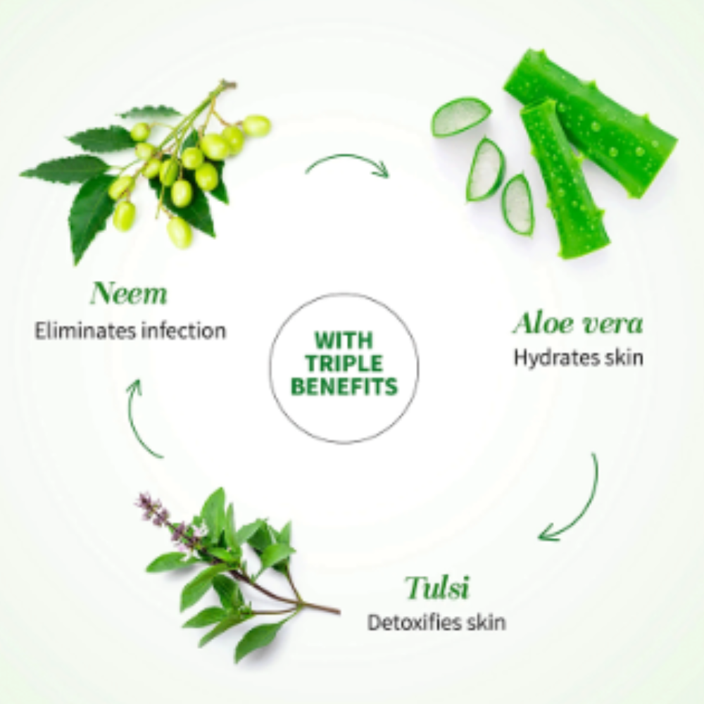 Ayouthveda Aloe Vera with Neem, Tulsi & Cucumber to Cool, Soothe Irritation & Calm Inflamed or Dry Skin Gel - Image 5