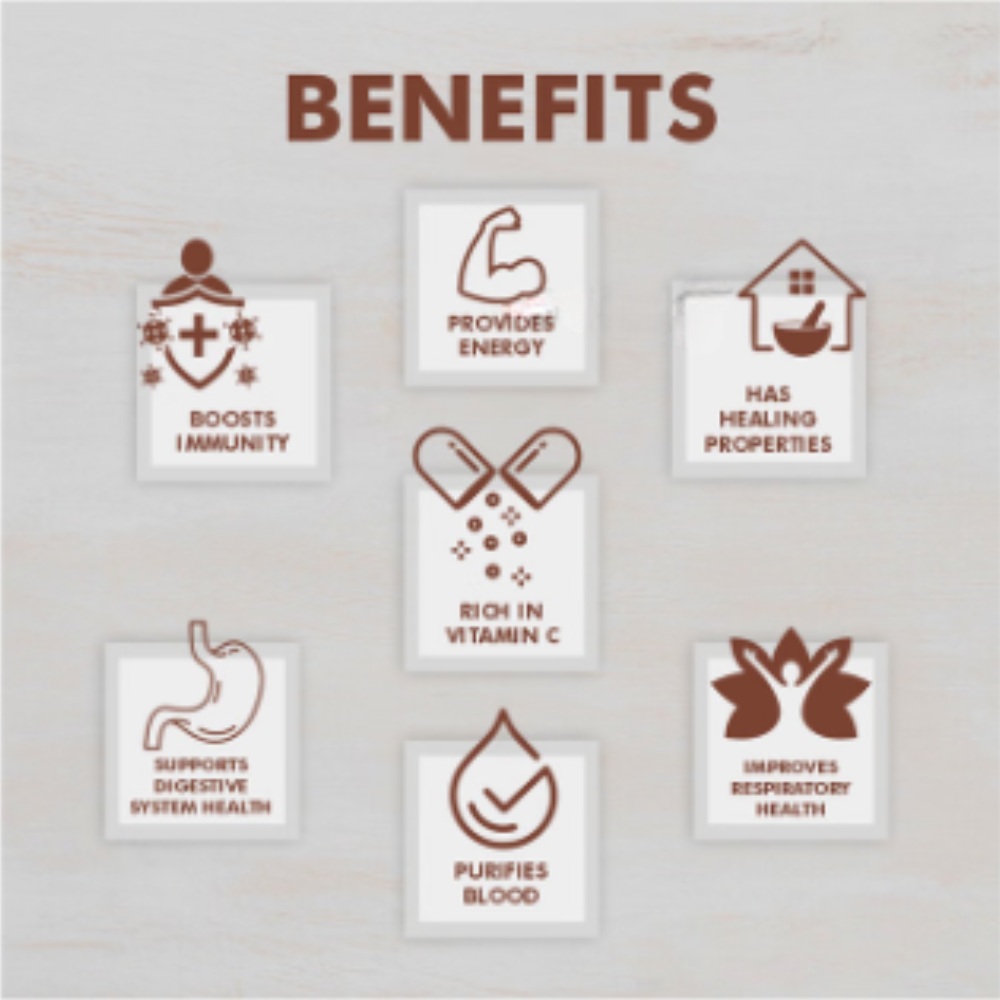 Nutriorg Vedic Chyawanprash - Image 2