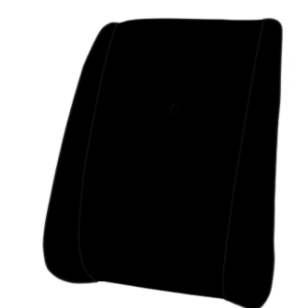 Orthopedic Back Rest