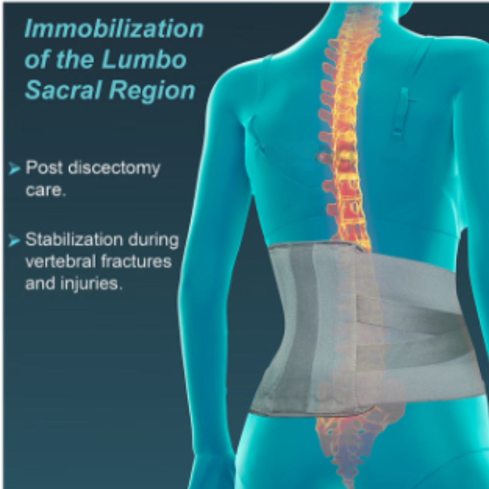 Contoured L.S. Belt Medium - Image 2