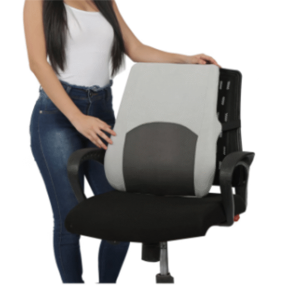 Back Rest High Ergonomic Lumbar Support Cushion Black & Grey