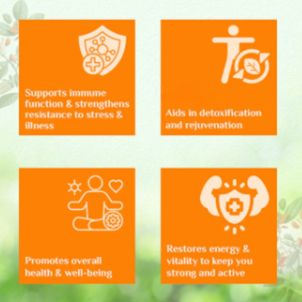 Organic India Chyawanprash | Helps Support Immunity - Image 6