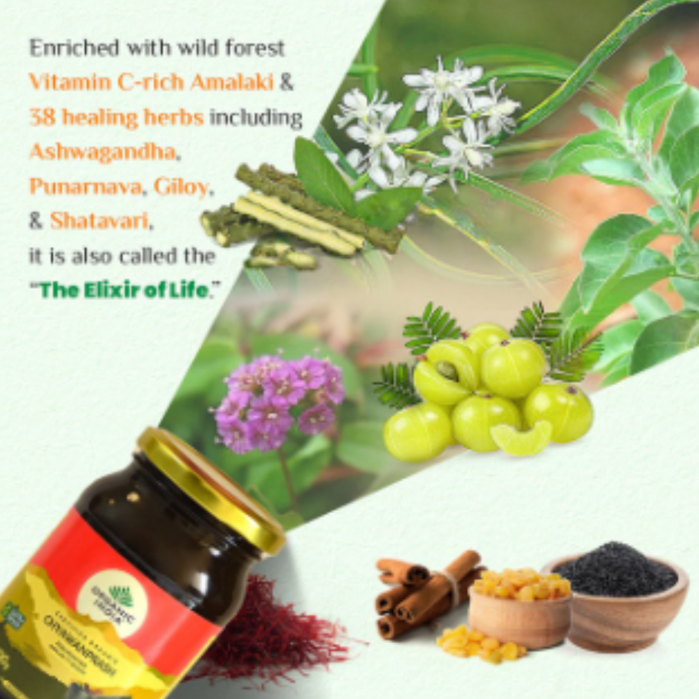 Organic India Chyawanprash | Helps Support Immunity - Image 4