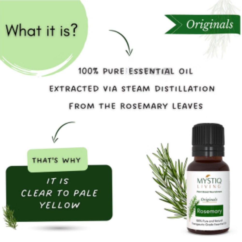 Mystiq Living Rosemary Essential Oil 100% Pure Therapeutic Grade - Image 6