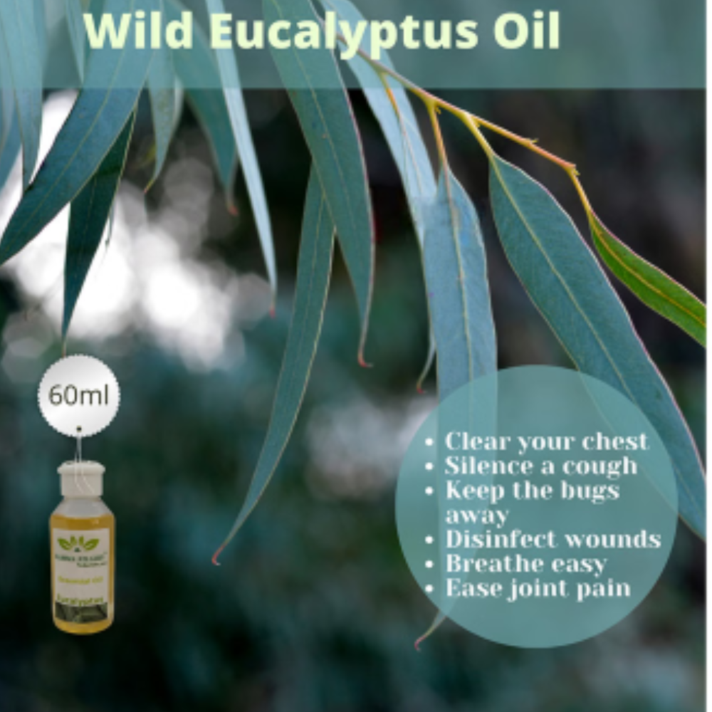 Namma Nilgris Eucalyptus Essential Oil - Image 3