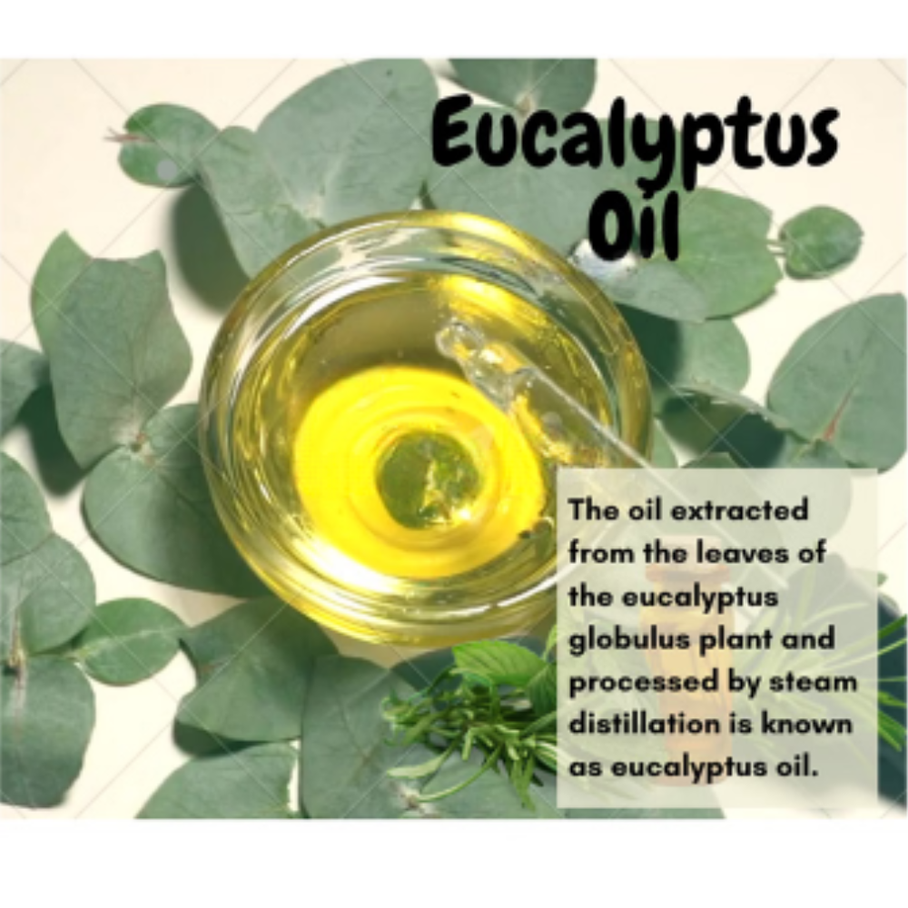 Namma Nilgris Eucalyptus Essential Oil - Image 2