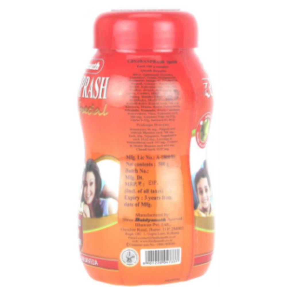 Baidyanath (Jhansi) Chyawanprash Special - Image 4