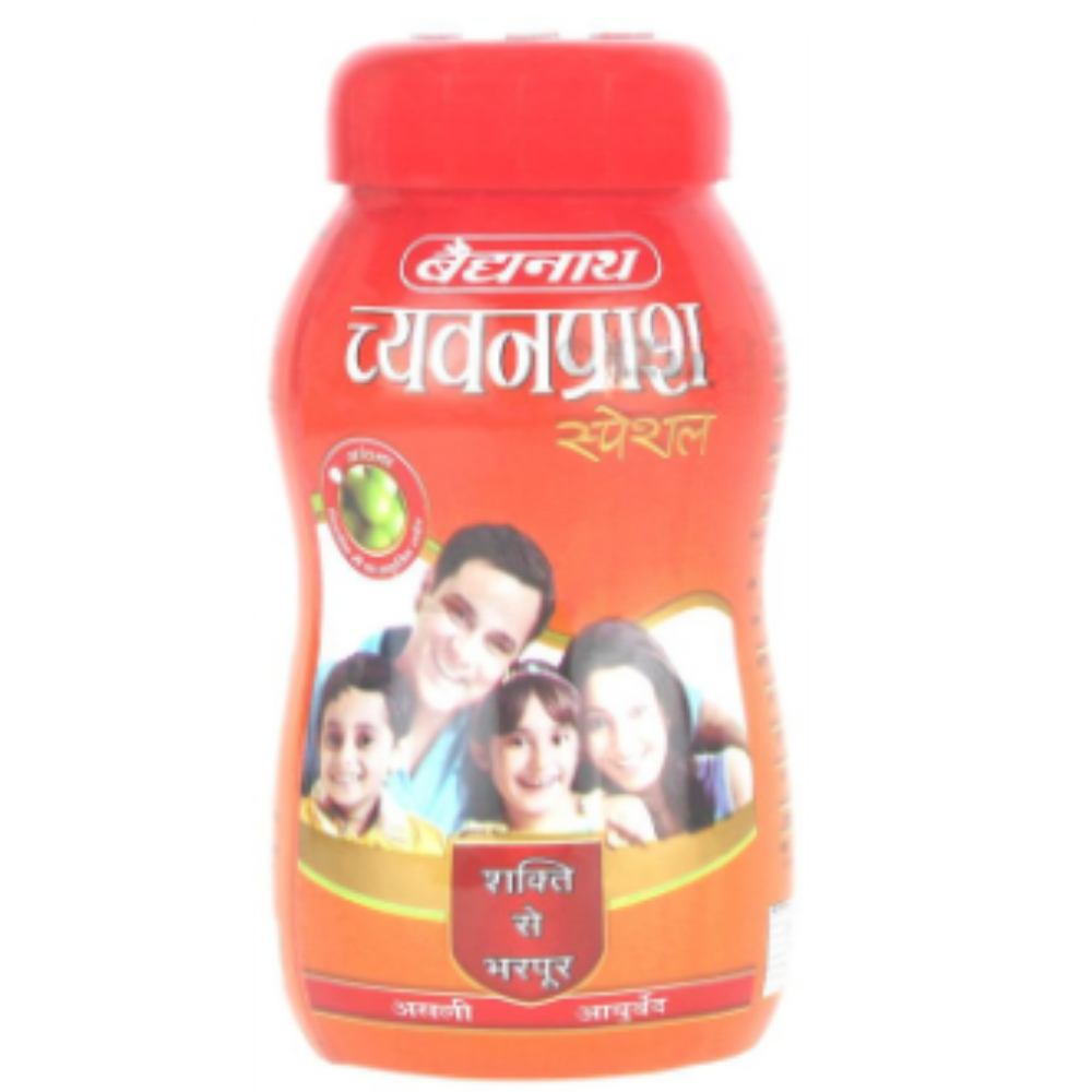 Baidyanath (Jhansi) Chyawanprash Special - Image 3